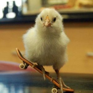 Meet your Posher, Kelly